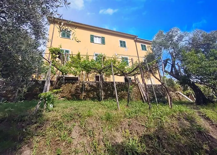 La Cascina Tra Gli Ulivi