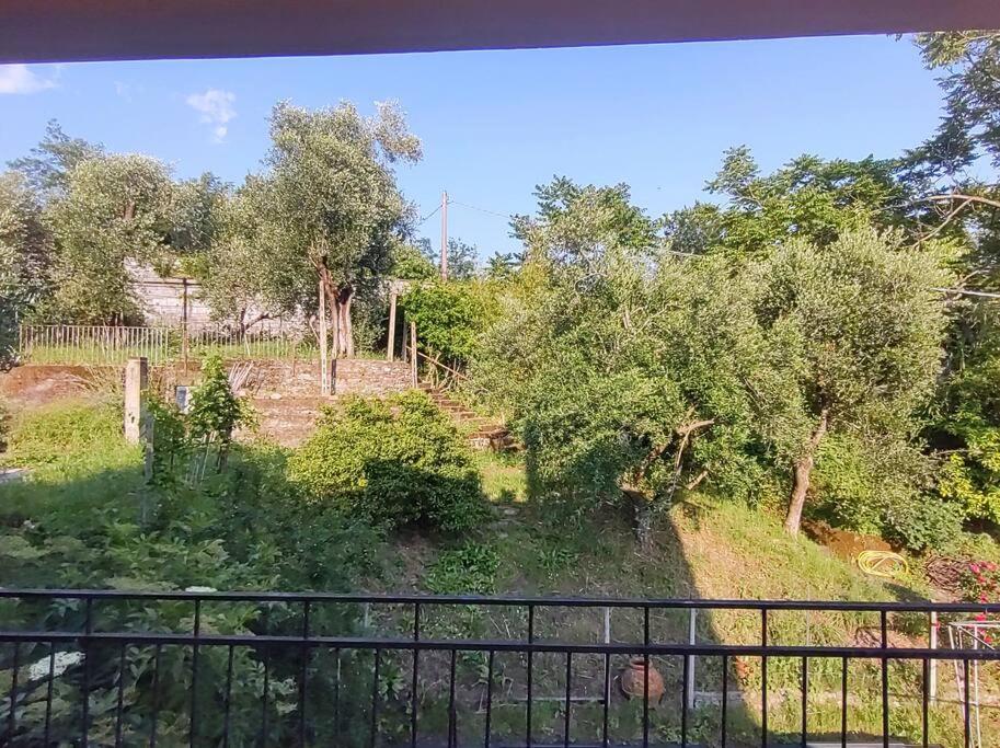 La Cascina Tra Gli Ulivi *